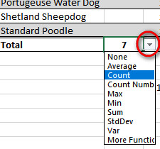 Totals Row Drop-Down